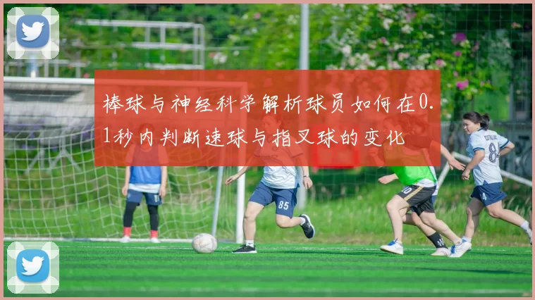 棒球与神经科学解析球员如何在0.1秒内判断速球与指叉球的变化