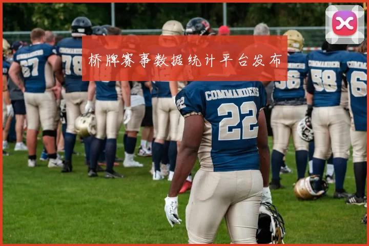 桥牌赛事数据统计平台发布