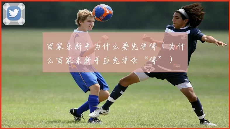 百家乐新手为什么要先学停（为什么百家乐新手应先学会“停”）
