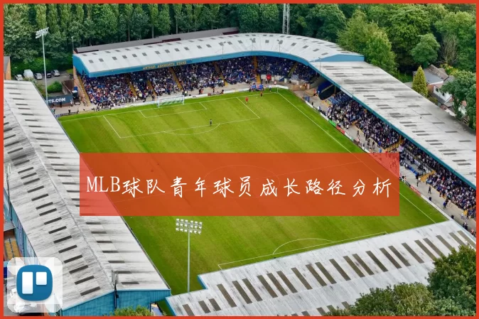 MLB球队青年球员成长路径分析