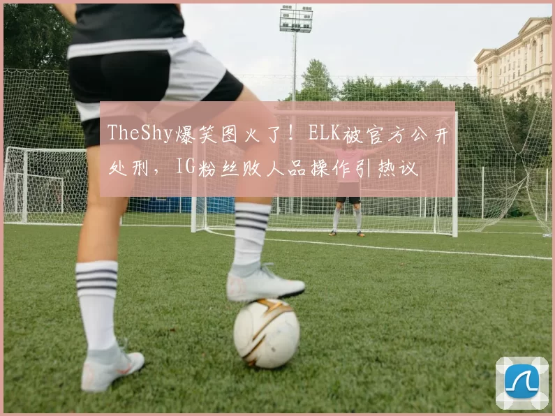 TheShy爆笑图火了！ELK被官方公开处刑，IG粉丝败人品操作引热议
