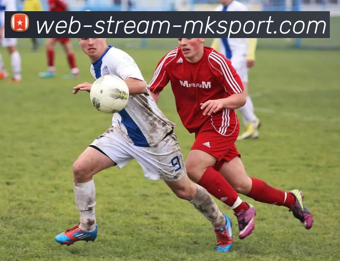 mk体育服务体系